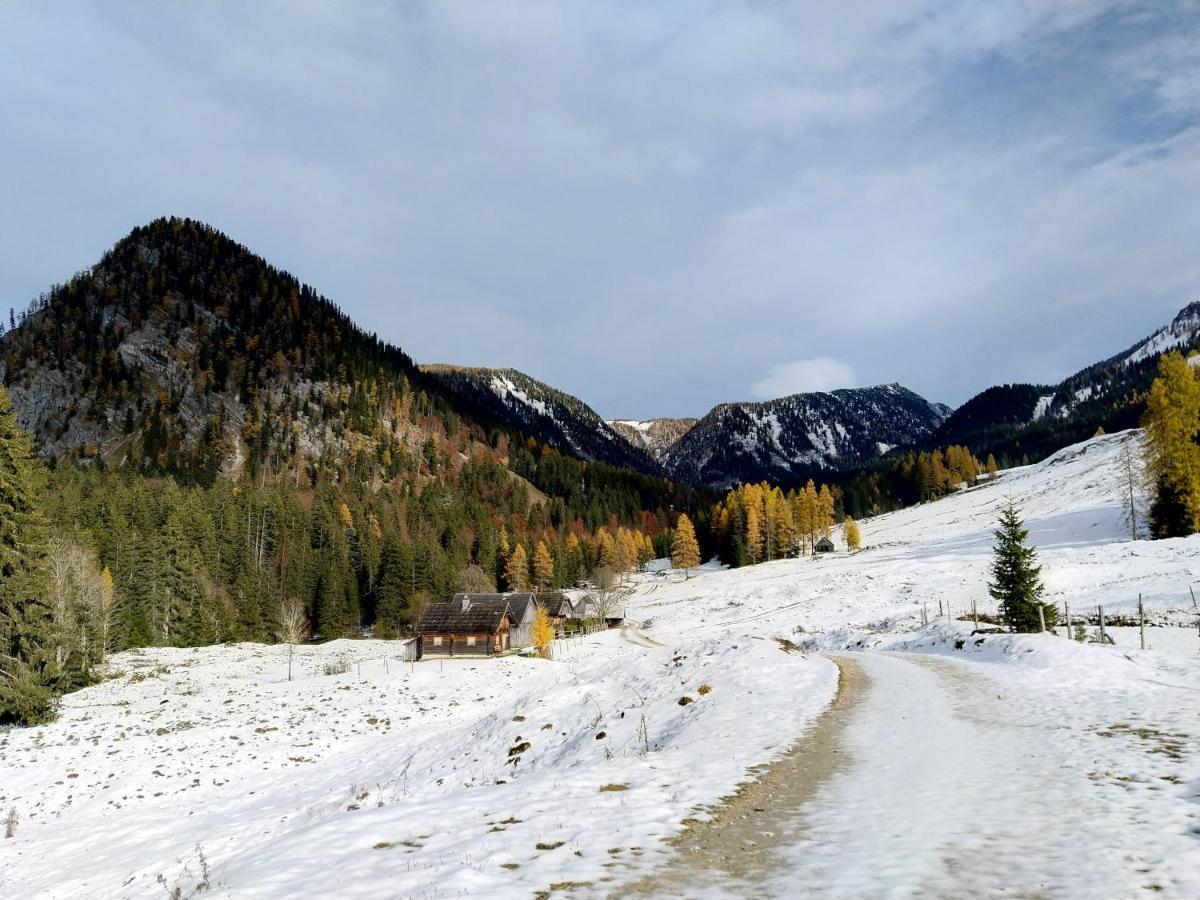 Berglebnis Tauplitz Exterior foto