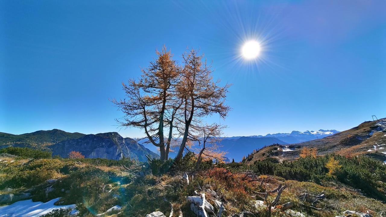 Berglebnis Tauplitz Exterior foto